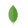 MongoDB